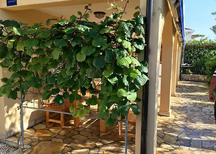 Puncet - 2br With Big Terrace And Bbq *